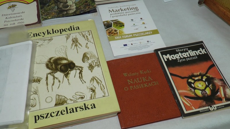 Ważne wyzwania ekologii